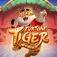 Fortune Tiger