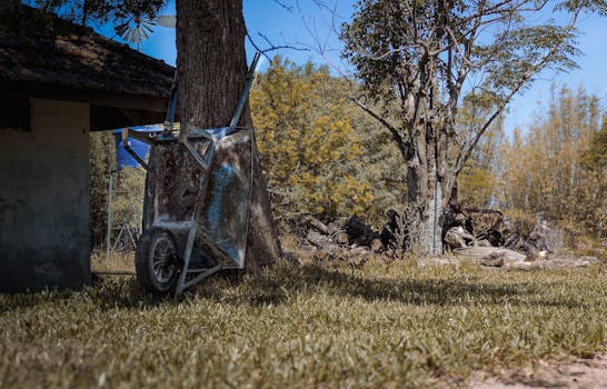 Tranquil countryside setting with an old cart under a tree in Rio Grande do Sul, Brazil.